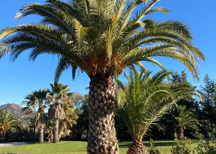 Casa Campanella Hotel